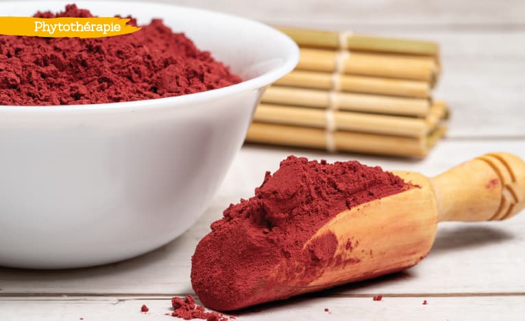 riz rouge fermenté et berbérine