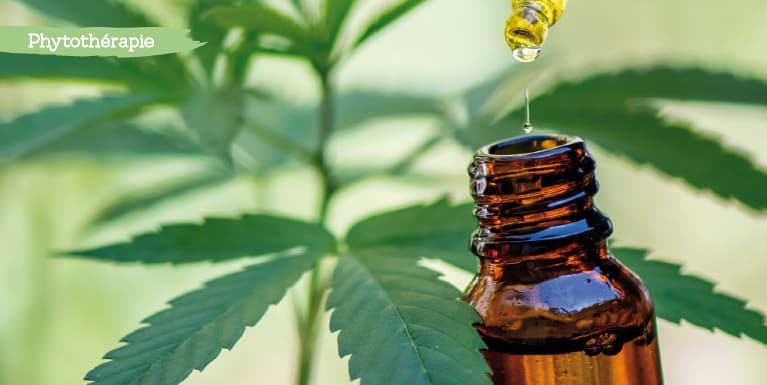 huile de cannabidiol