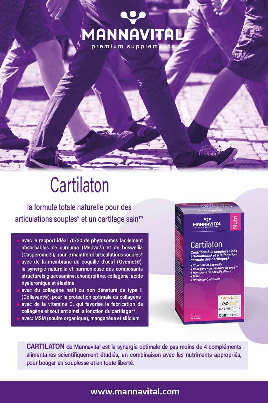 Illustration santé des articulations